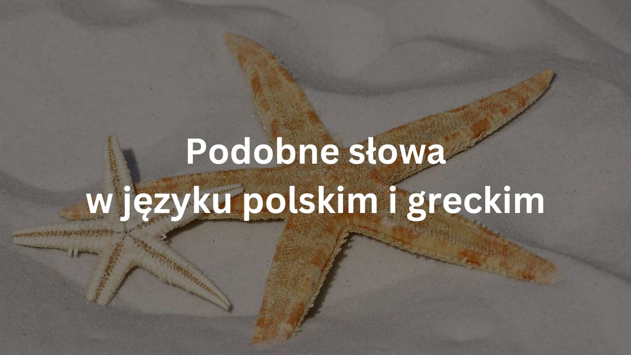 podobne słowa grecki polski