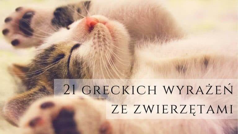 21 greckich wyrażeń ze zwierzętami